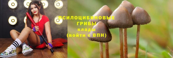 спайс Алексеевка