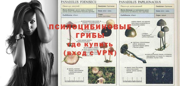 каннабис Алексин
