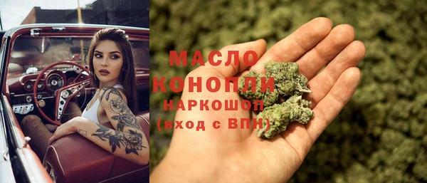 гидра Рославль