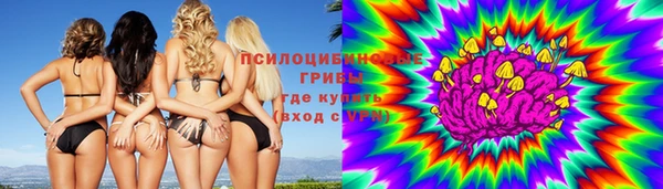 МДПВ Алзамай