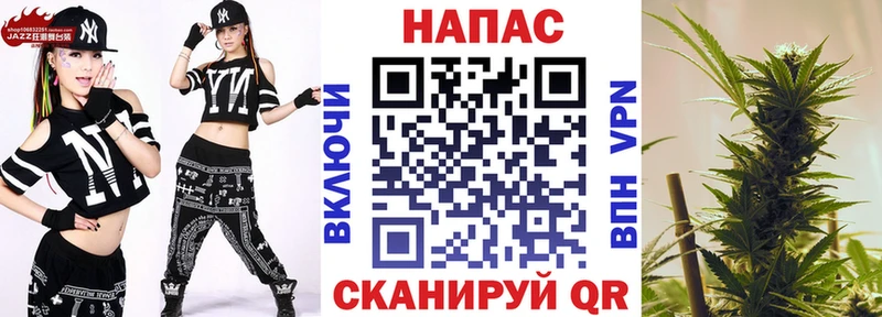 сколько стоит  Заинск  Шишки марихуана SATIVA & INDICA 